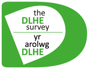 Welsh survey logo