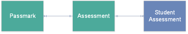 Assessment data record entity