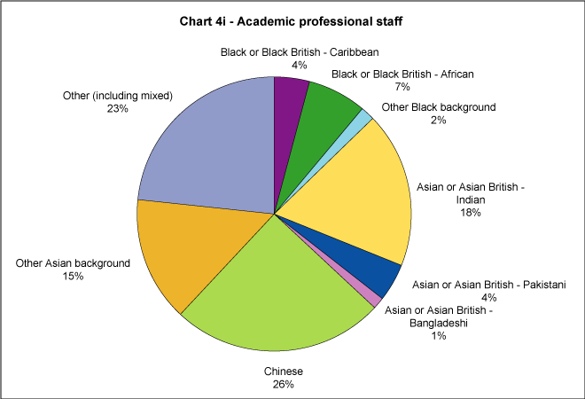 Academic professional staff