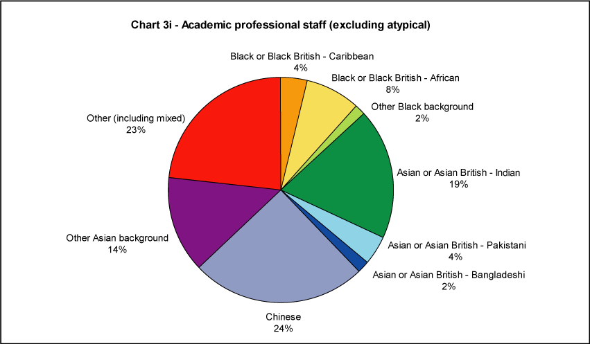 Academic professional staff (excluding atypical)