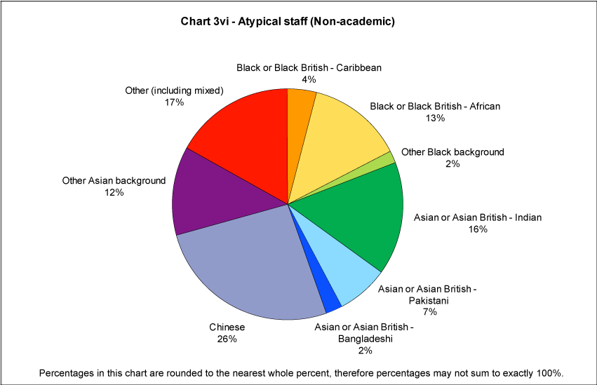 Atypical staff (non-academic)